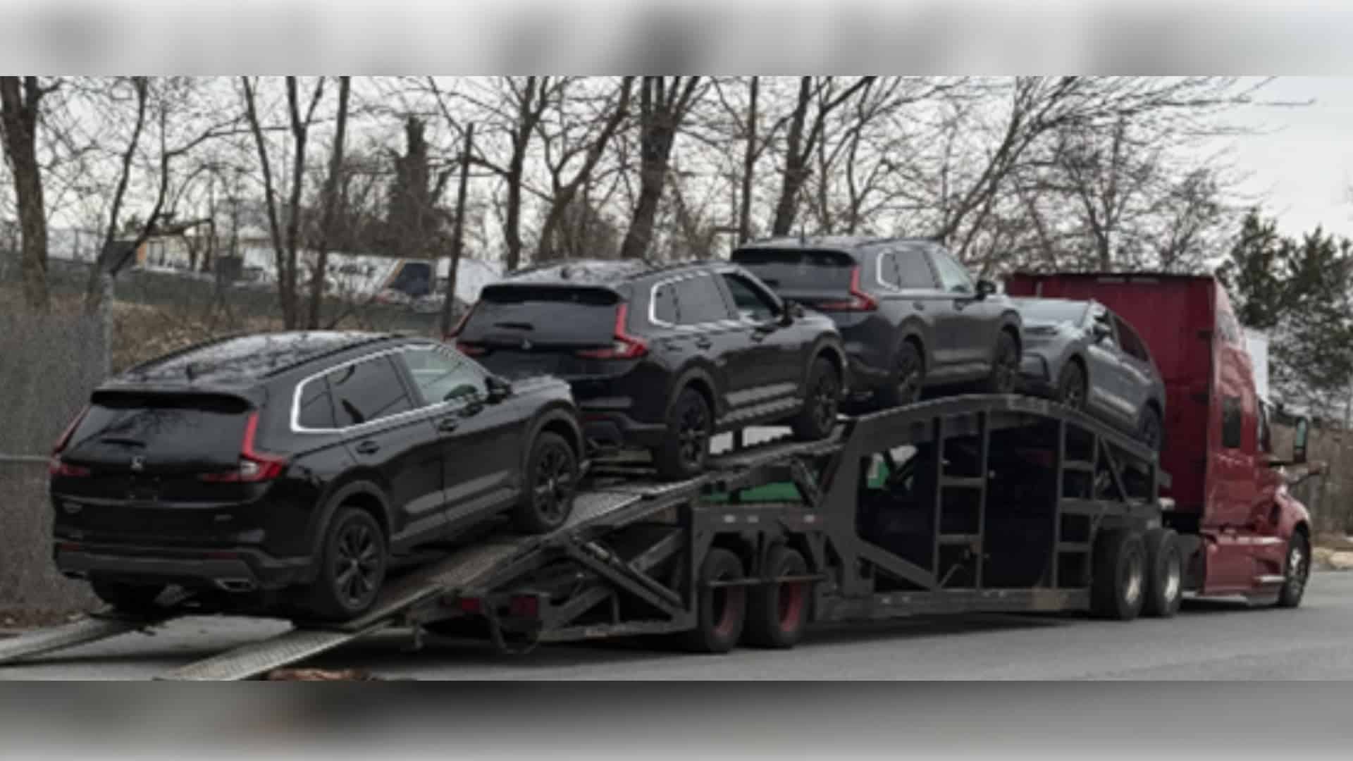 Desmantelan banda que robaba autos para exportar