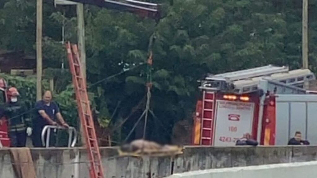 Hallan cuerpo en el Arroyo del Rey, Lomas de Zamora