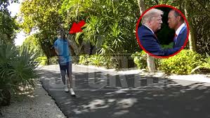 Tiger Woods llamó a Trump tras accidente