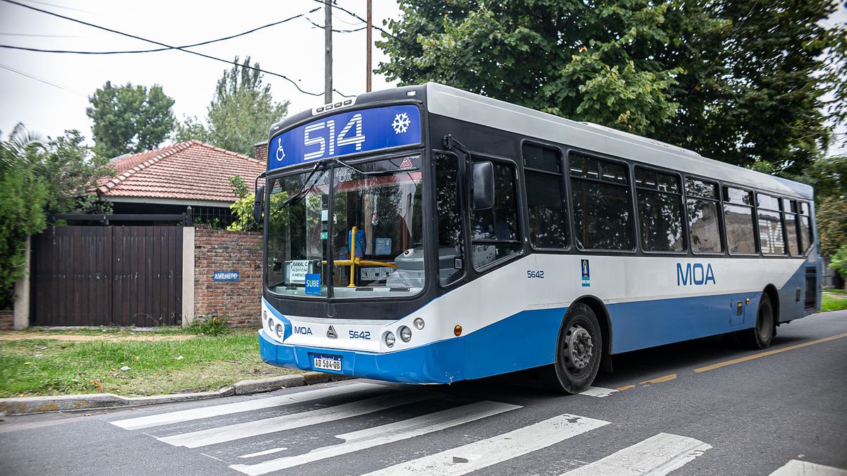 Adrogué-Solano: oficializan ramal C de la línea 514