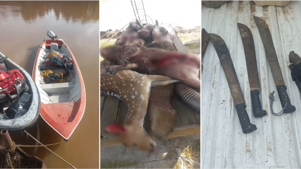 Cazadores furtivos desbaratados en el Delta de Zárate