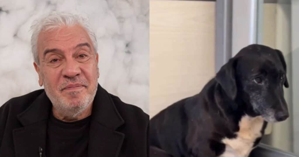 El perro 'Salchicha' halló refugio y luego a su familia