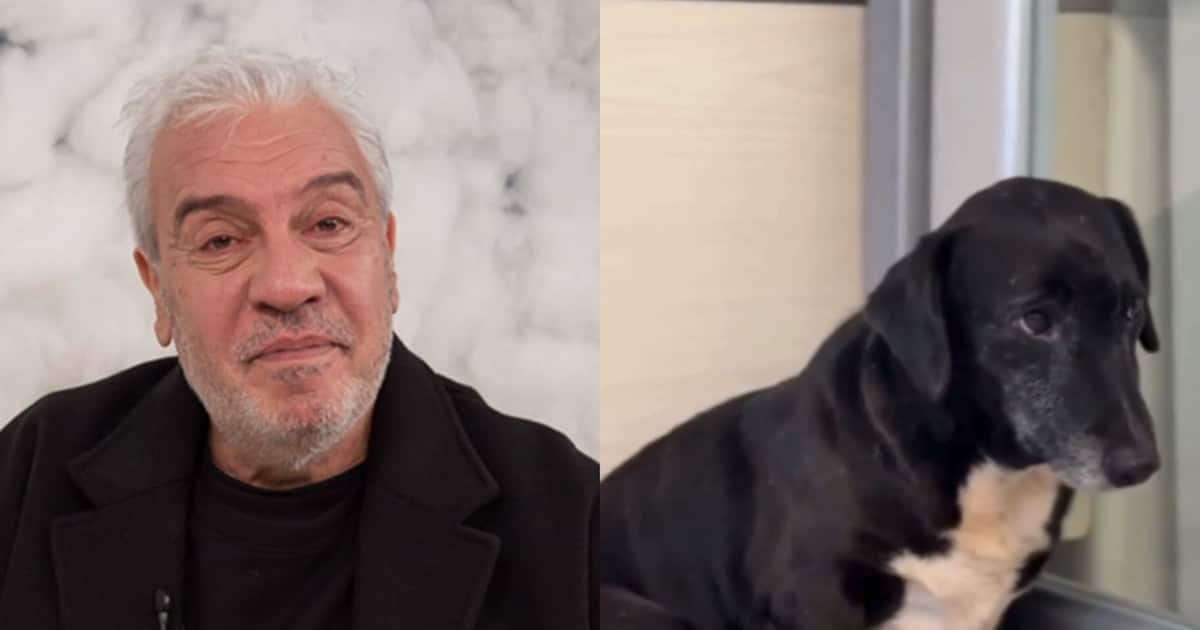 El perro 'Salchicha' halló refugio y luego a su familia