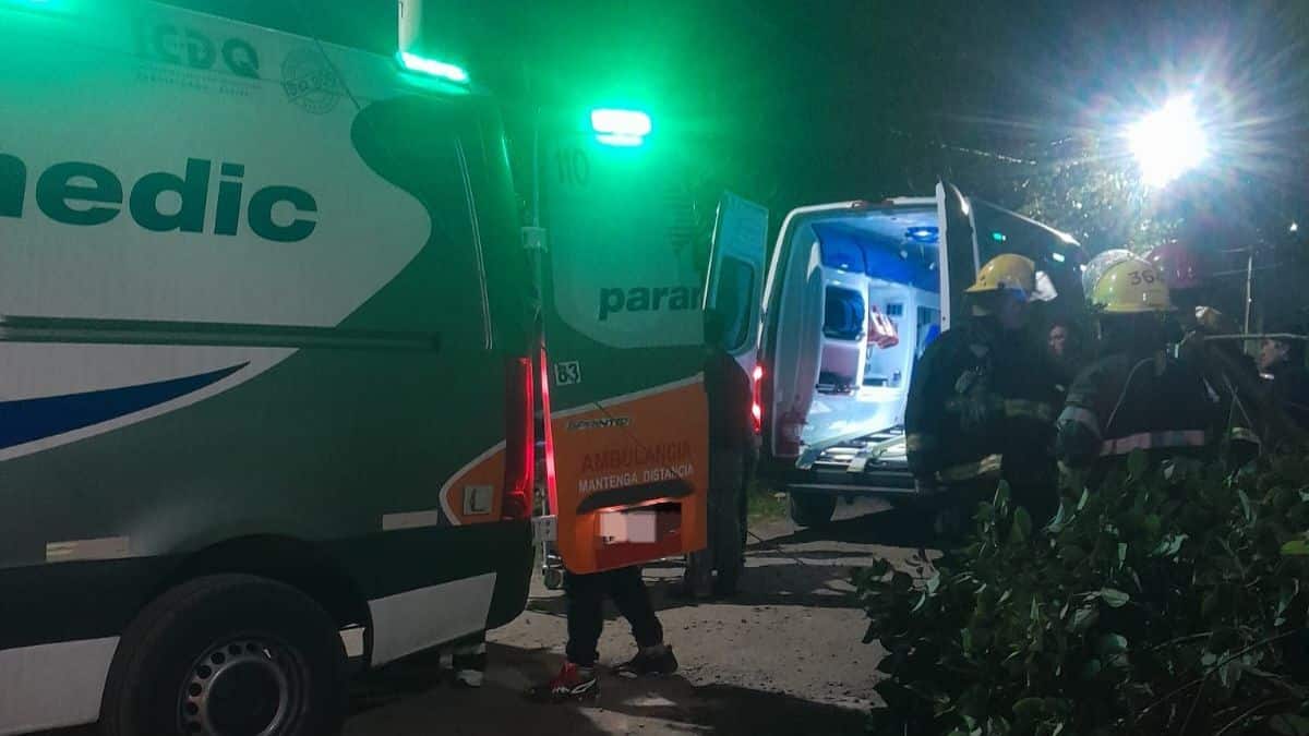 Glew: Hombre hospitalizado tras caer de un árbol