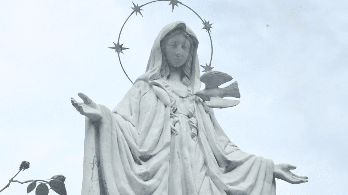 La Virgen de Lanús: historia de fe