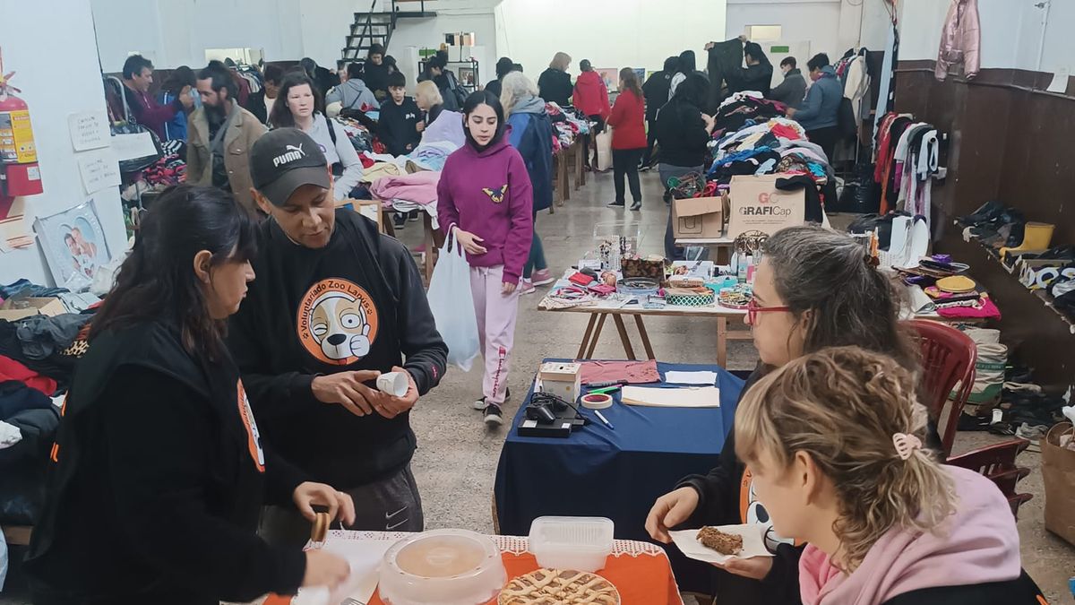 Lanús: Feria solidaria por los perros callejeros