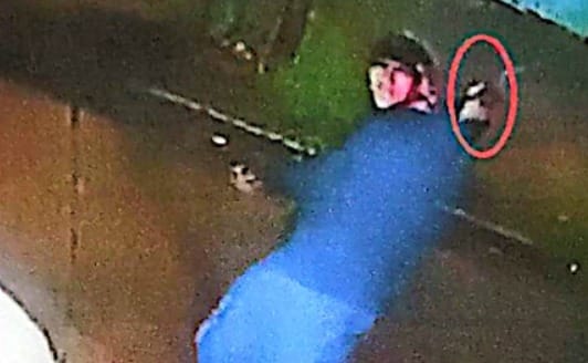Lanús: Un joven de 14 años baleó la casa de un compañero