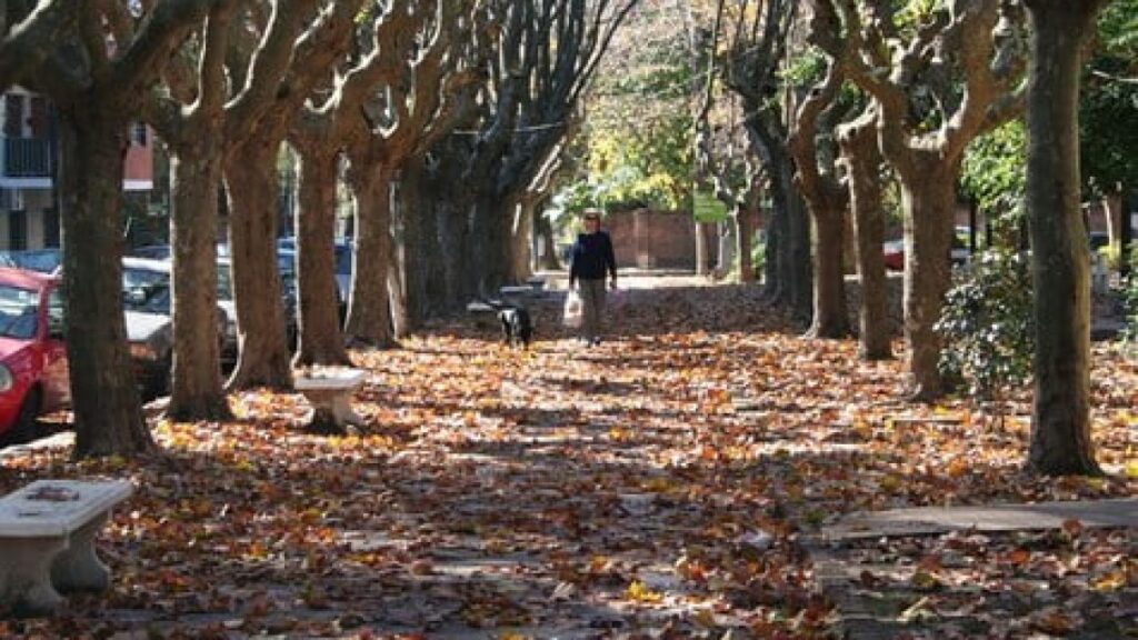 SMN: Temperaturas superiores a la media en junio