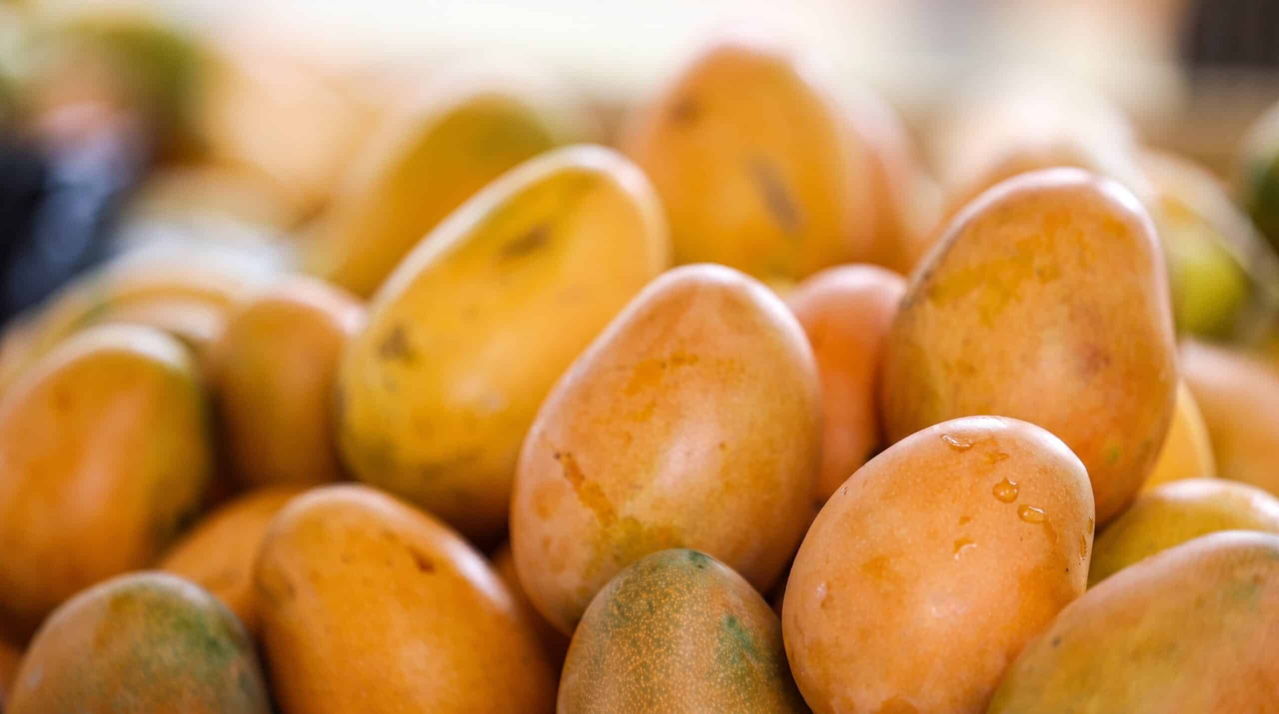 EEUU veta el mango de Baní y genera millonarias pérdidas a RD