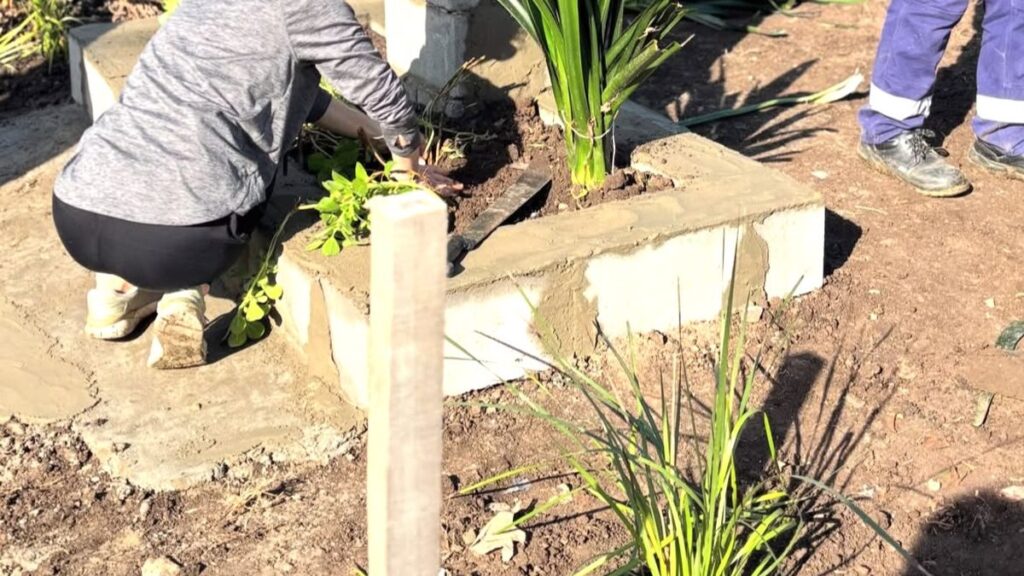 Llavallol: recuperaron un basural histórico con forestación
