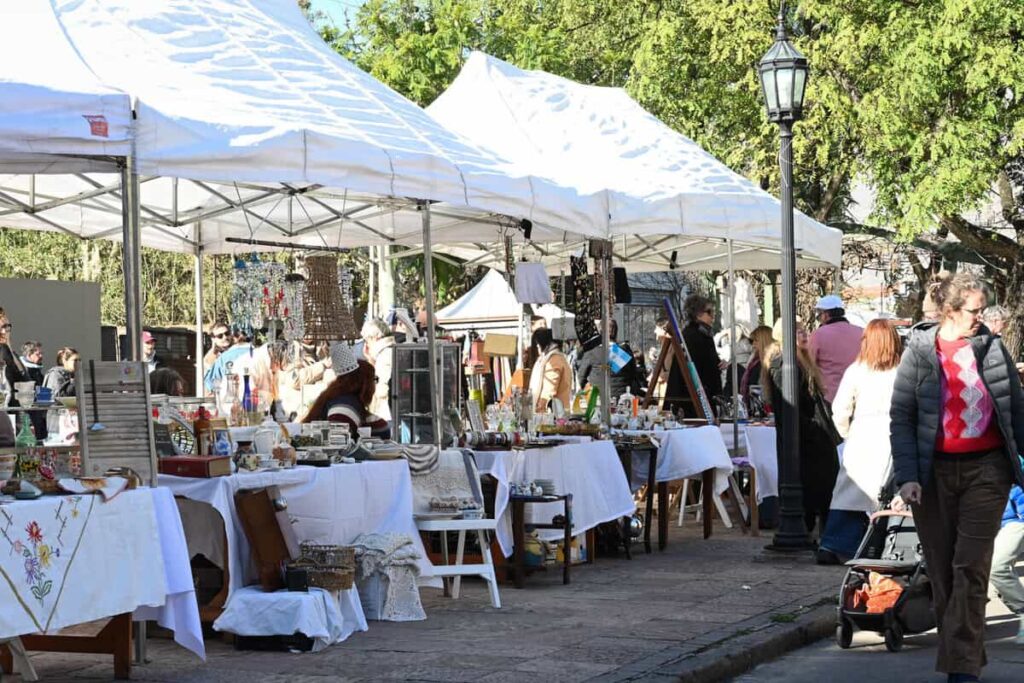 Opciones turísticas en Zona Norte: naturaleza y gastronomía