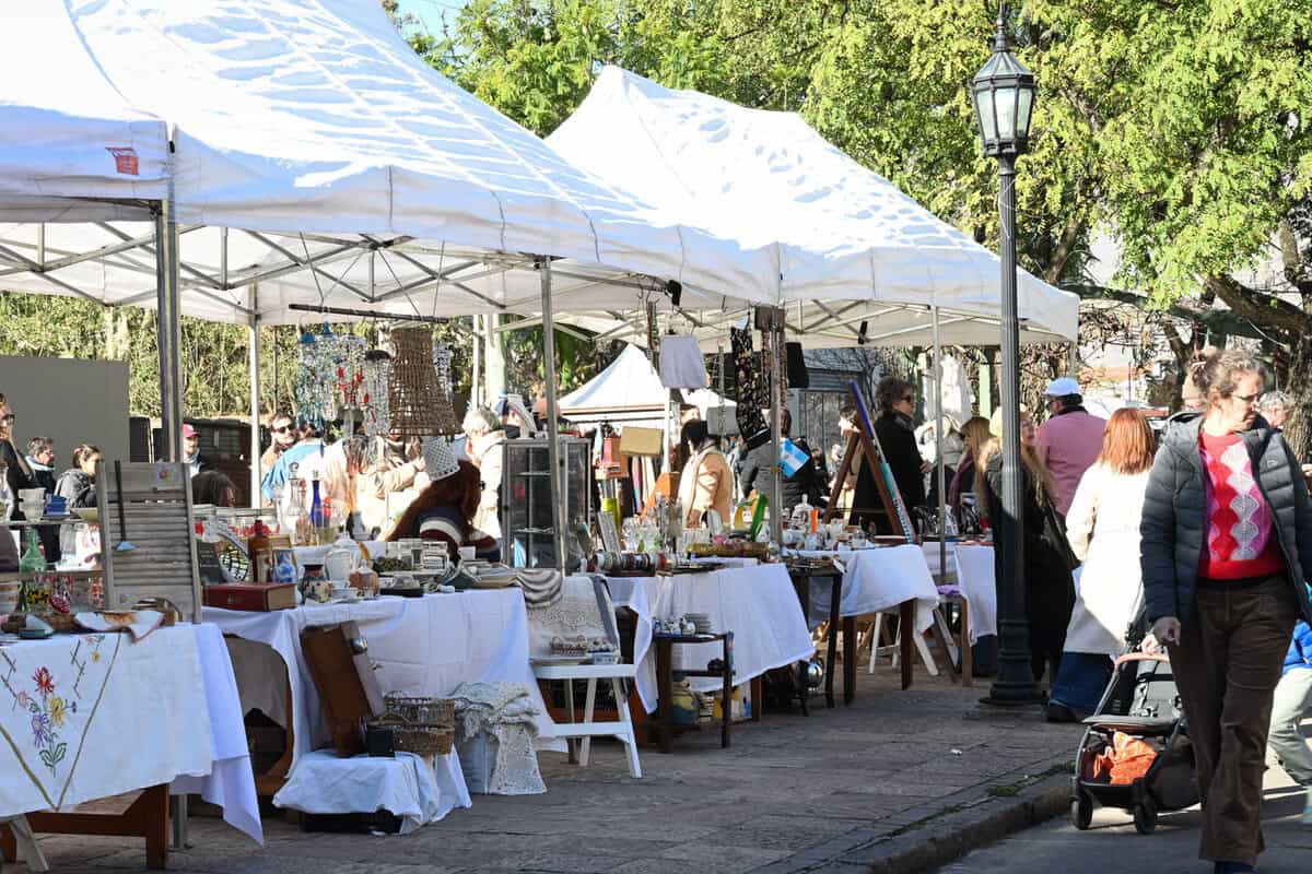 Opciones turísticas en Zona Norte: naturaleza y gastronomía