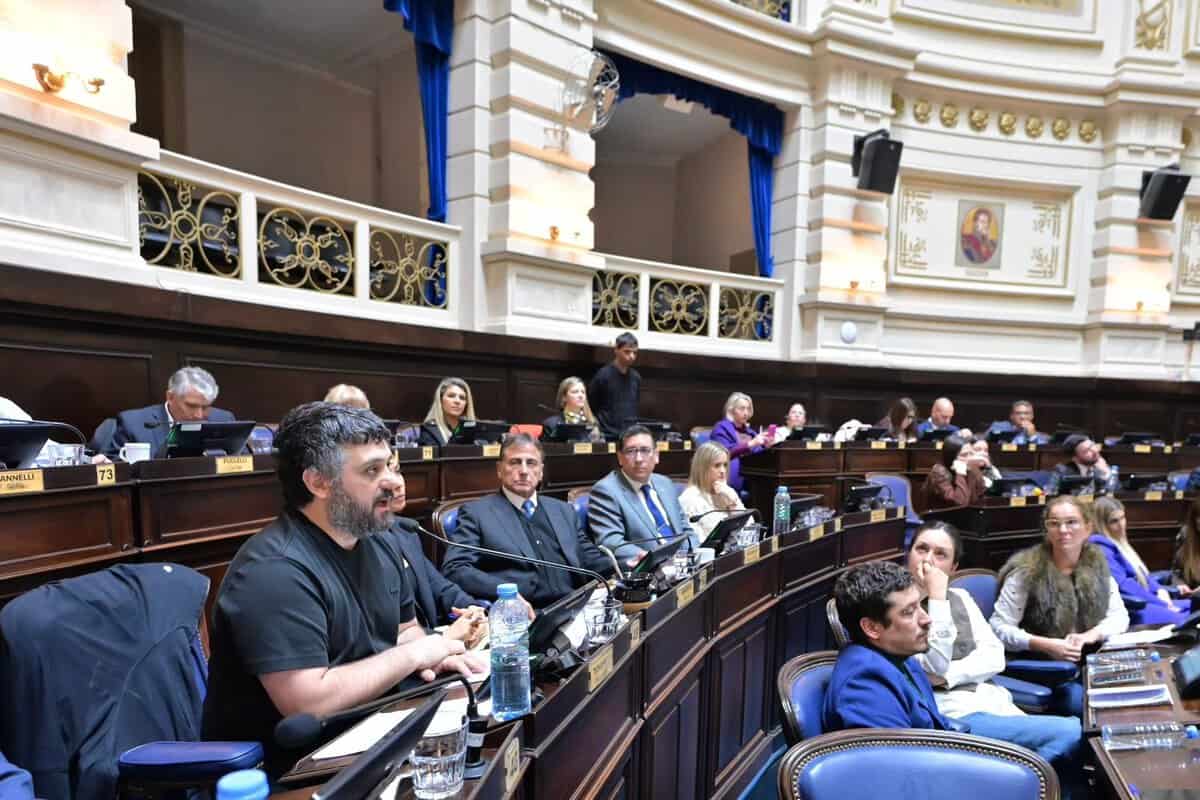 Diputados de Buenos Aires convirtió en ley la adhesión a la Ley Nacional de Discapacidad y dio media sanción a la Ley Ema