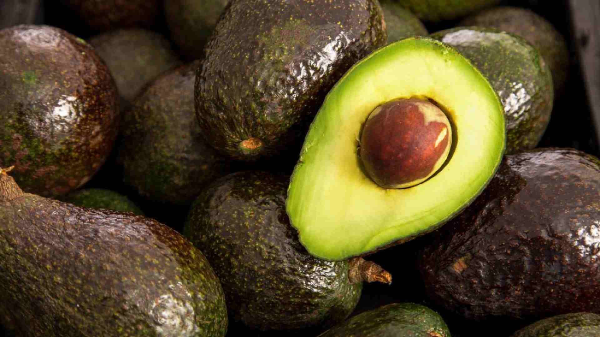 México alcanza un acuerdo con EEUU para exportar aguacate