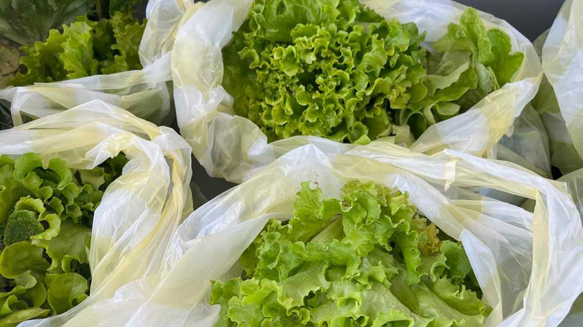 Productos orgánicos de Agrarias: cuándo y dónde conseguirlos