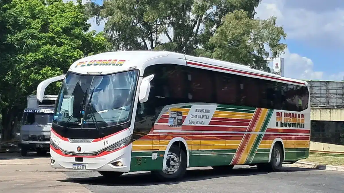 Restricción al nuevo colectivo a La Plata para proteger a Platabus