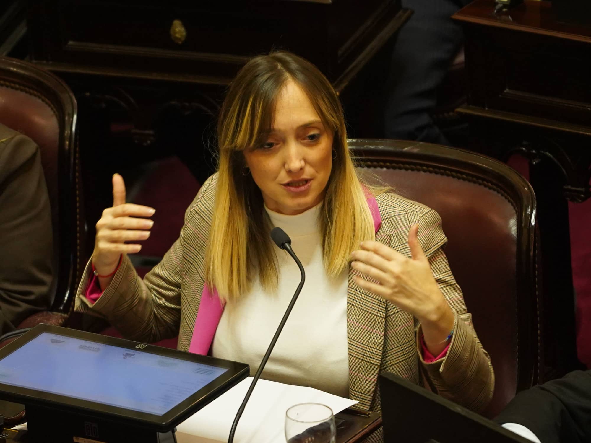 Senadora K pide votar por zoom la Ley de Tierras y define Villarruel