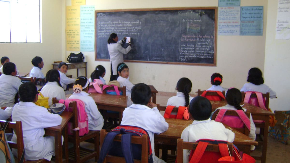 Solo el 50% de los alumnos llega a sexto grado con buen nivel educativo