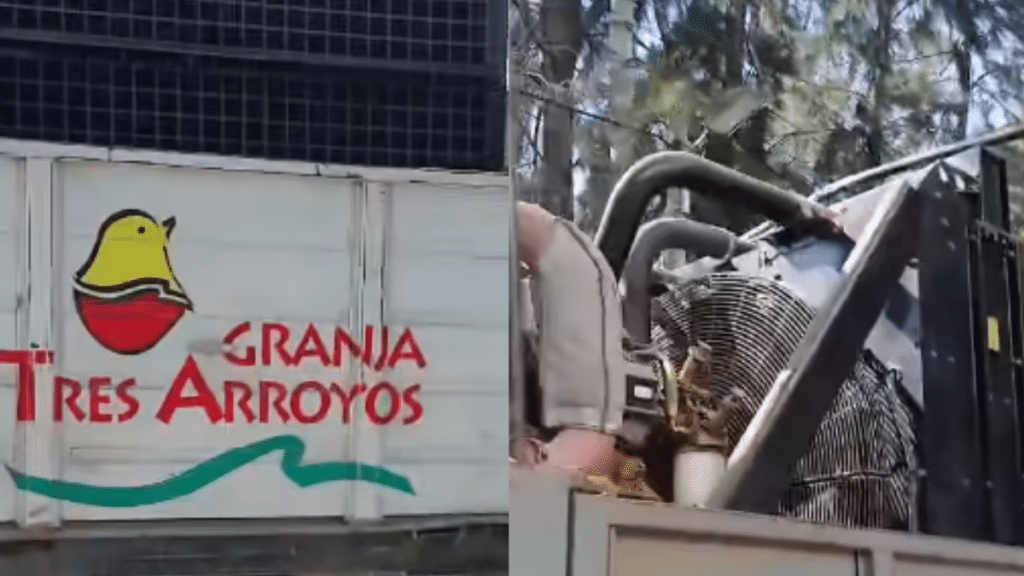 Cresta Roja: trabajadores denuncian retiro de maquinaria en Ezeiza
