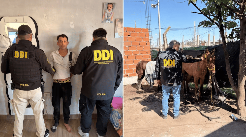 Detuvieron en Moreno a un acusado de homicidio por robo de caballos
