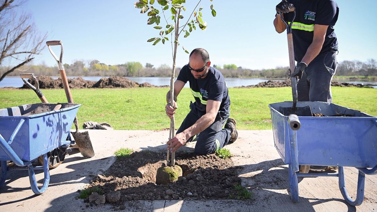 Plantaron nuevos árboles en la laguna de San Vicente