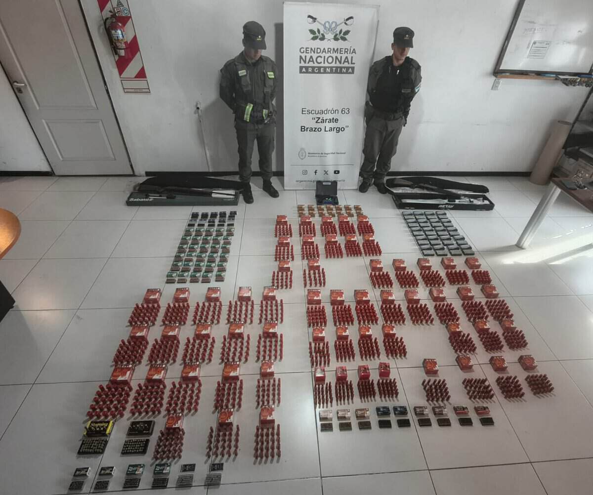 Secuestran municiones y armas enviadas por encomienda en Zárate