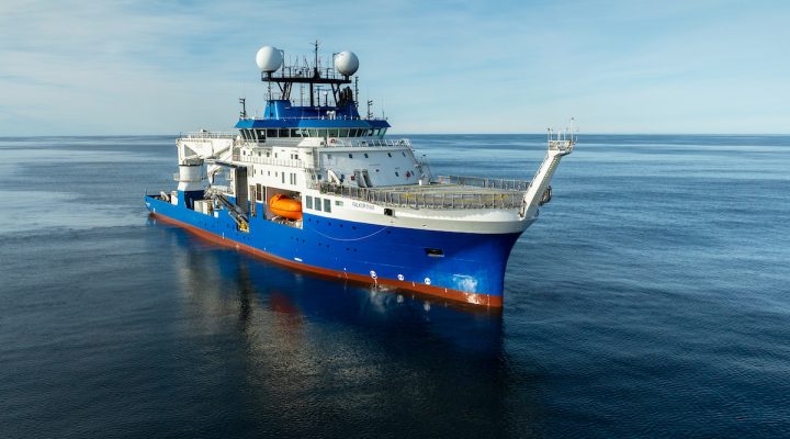 Loki: el pepino de mar descubierto en el cañón submarino de Mar del Plata